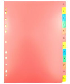 Bìa Phân Trang Nhựa 12 Số