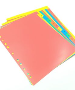 Bìa Phân Trang Nhựa 12 Số