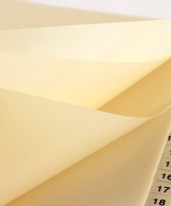 Chia File Nhựa A4 31 XF-31