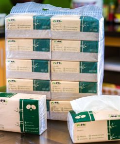 Giấy gấu trúc Ycool