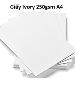Giấy Ivory 250gsm A4
