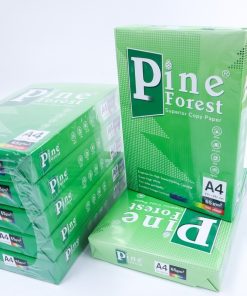 Giấy Photo Pine Forest A4 65 gsm