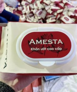 Khăn giấy ướt Amesta 120 tờ