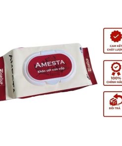 Khăn giấy ướt Amesta 120 tờ