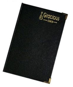 Sổ da CK9 100 trang