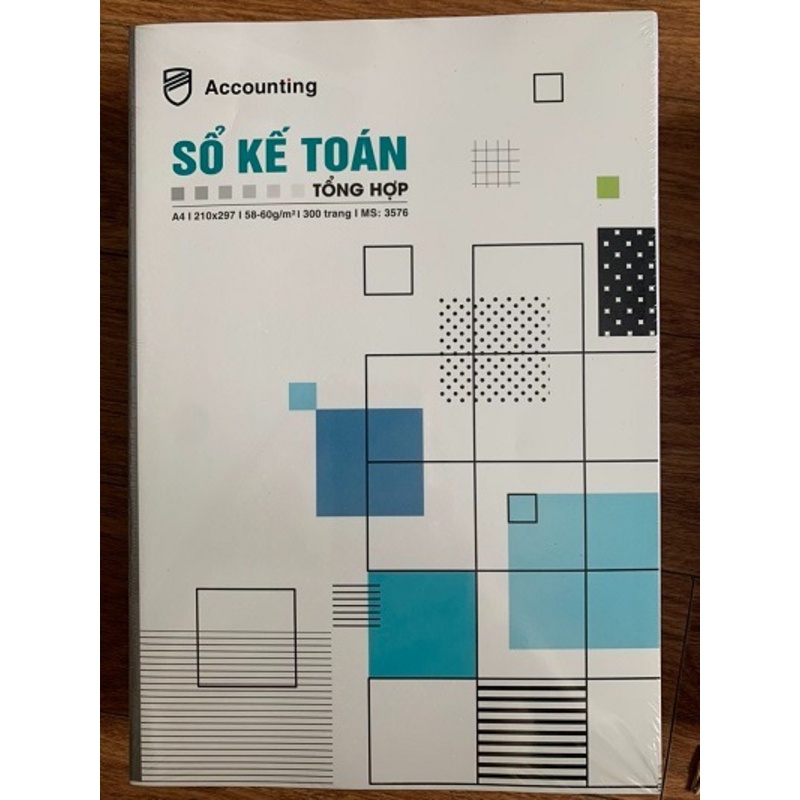 Sổ Kế Toán Tổng Hợp 300 trang Hải Tiến